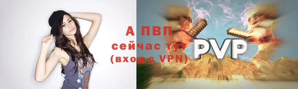 бошки Пролетарск