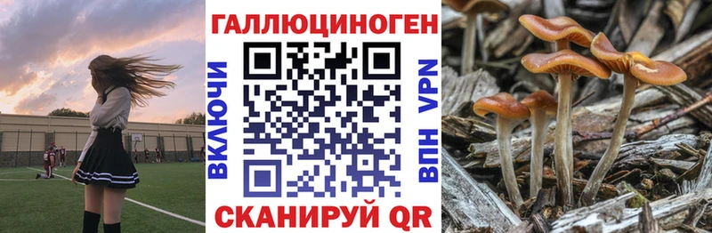 Галлюциногенные грибы MAGIC MUSHROOMS  как найти закладки  Костомукша 