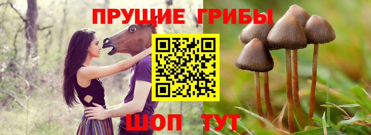Галлюциногенные грибы прущие грибы  Вход с VPN  Костомукша 