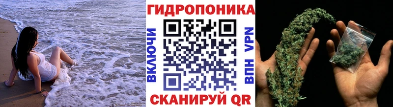 Канабис Amnesia  Костомукша 